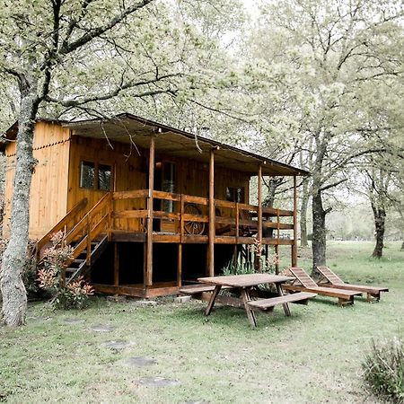 Bed and Breakfast Le Ranch Amadeus Saint-Paul-en-Born Esterno foto