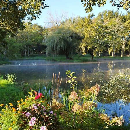 Bed and Breakfast Le Ranch Amadeus Saint-Paul-en-Born Esterno foto