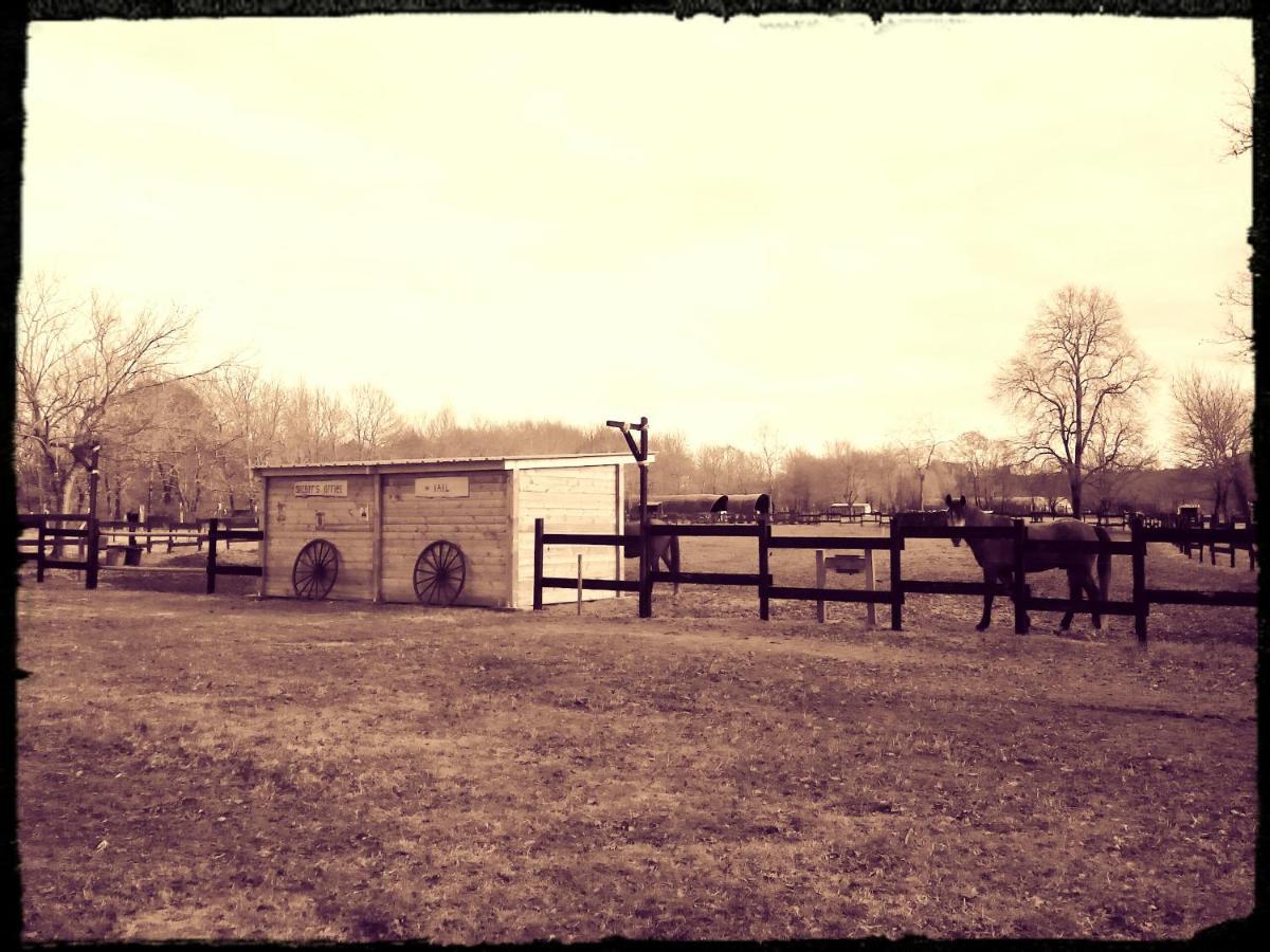 Bed and Breakfast Le Ranch Amadeus Saint-Paul-en-Born Esterno foto