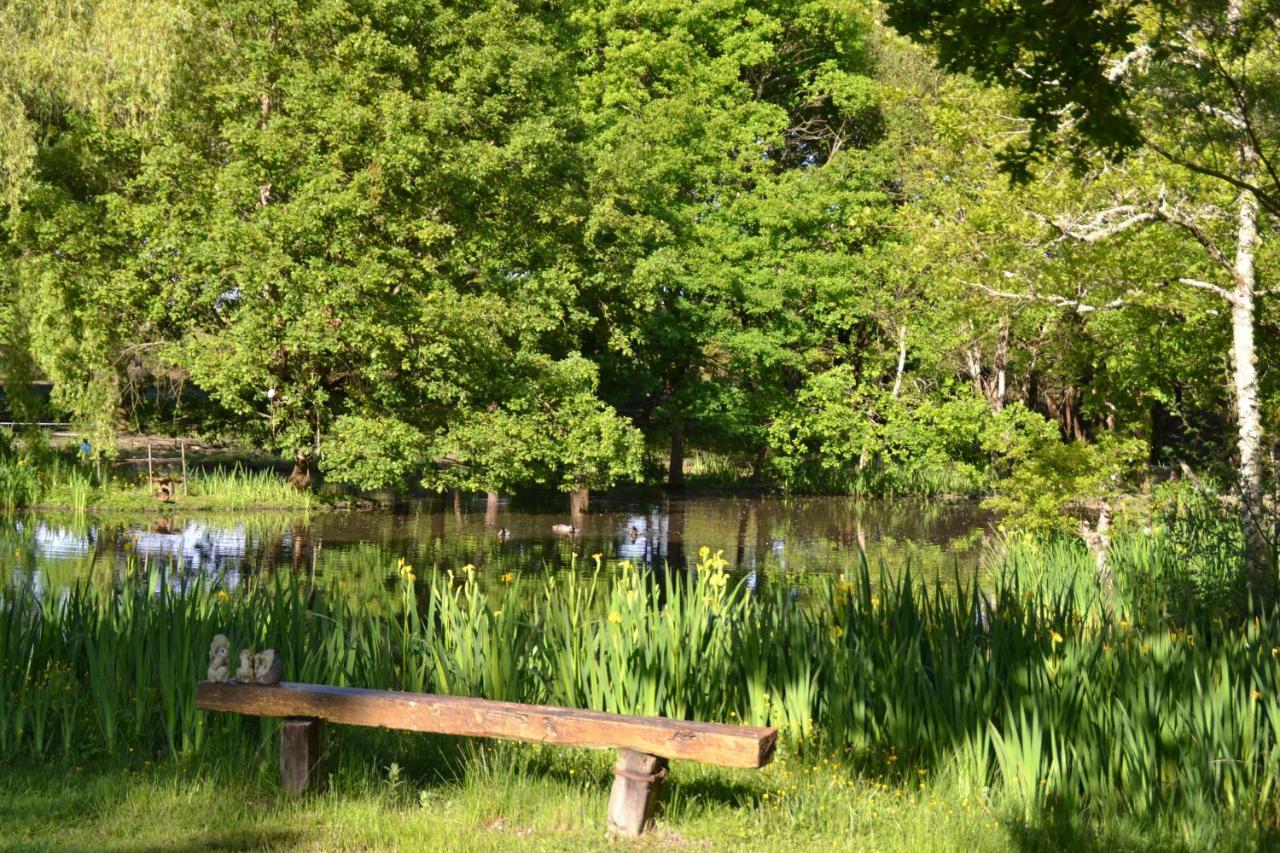 Bed and Breakfast Le Ranch Amadeus Saint-Paul-en-Born Esterno foto