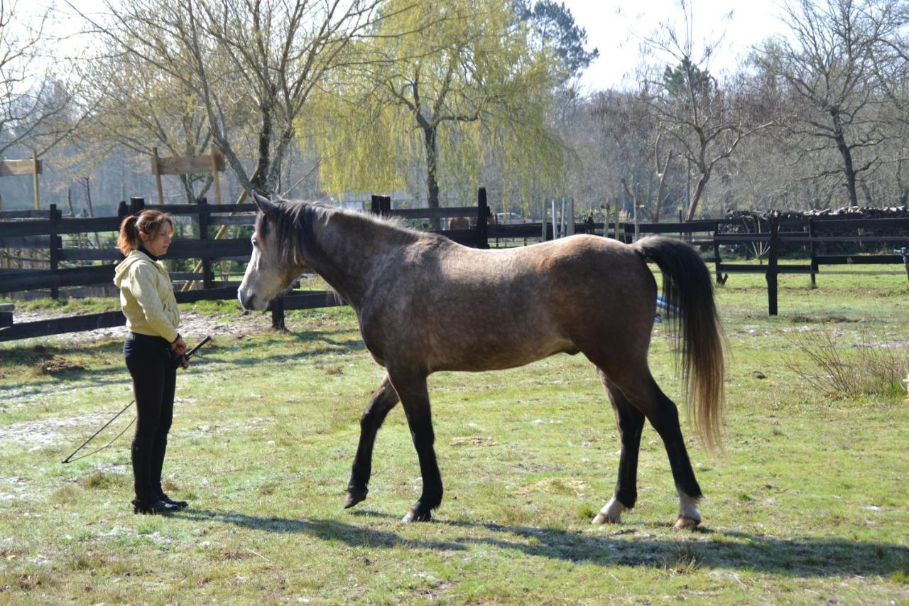 Bed and Breakfast Le Ranch Amadeus Saint-Paul-en-Born Esterno foto