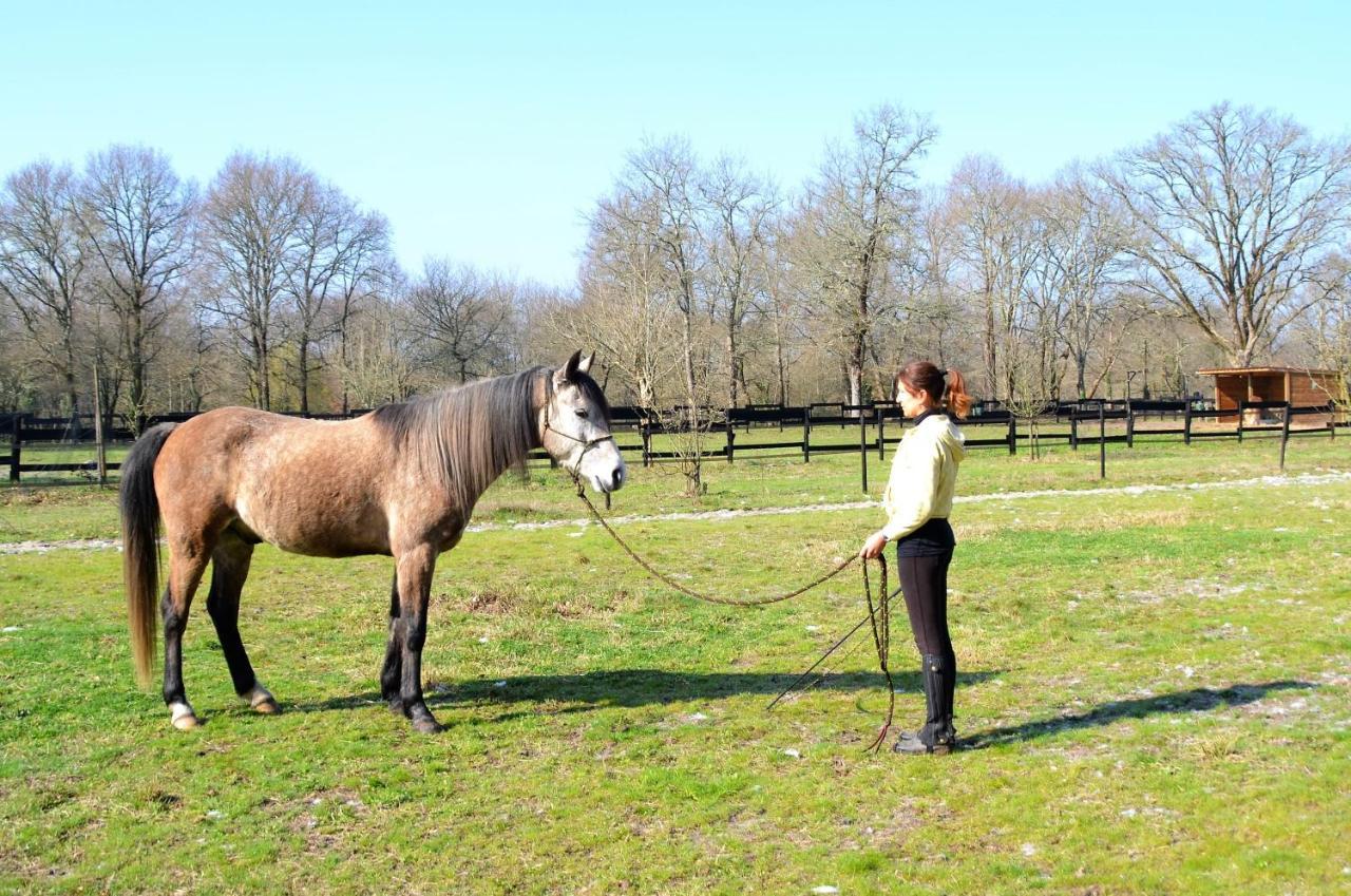 Bed and Breakfast Le Ranch Amadeus Saint-Paul-en-Born Esterno foto