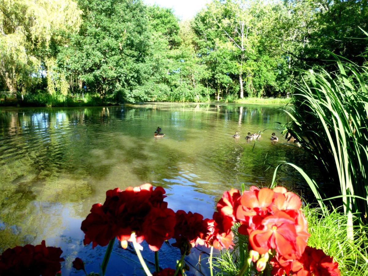 Bed and Breakfast Le Ranch Amadeus Saint-Paul-en-Born Esterno foto