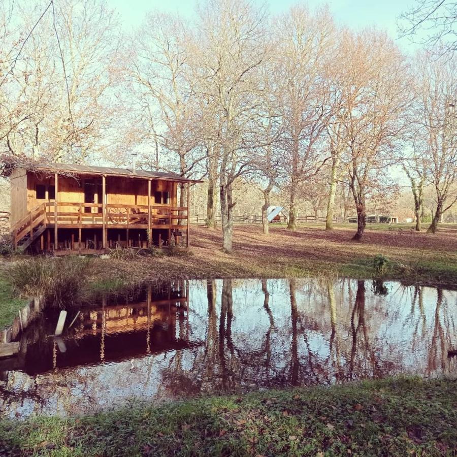 Bed and Breakfast Le Ranch Amadeus Saint-Paul-en-Born Esterno foto