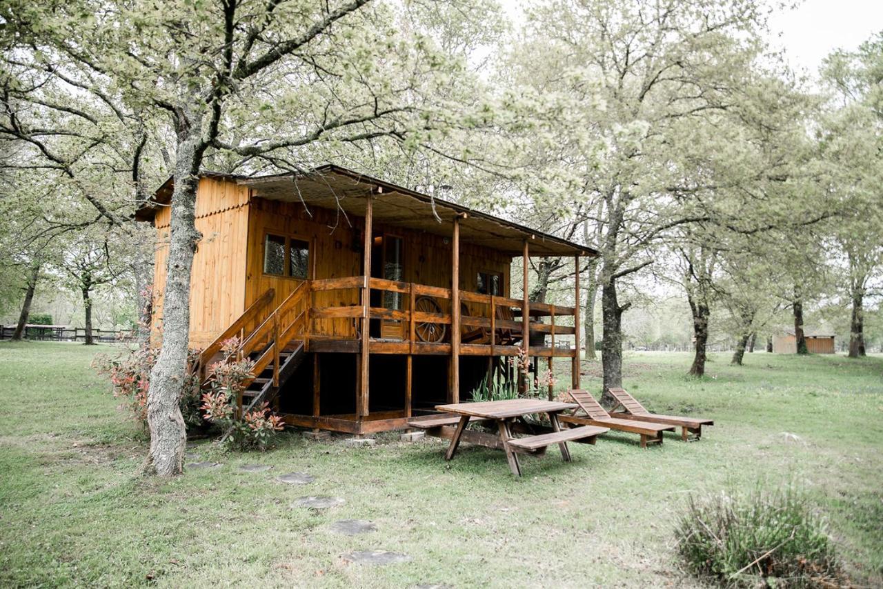 Bed and Breakfast Le Ranch Amadeus Saint-Paul-en-Born Esterno foto