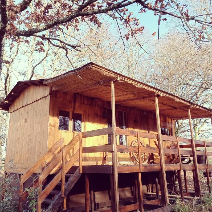 Bed and Breakfast Le Ranch Amadeus Saint-Paul-en-Born Esterno foto