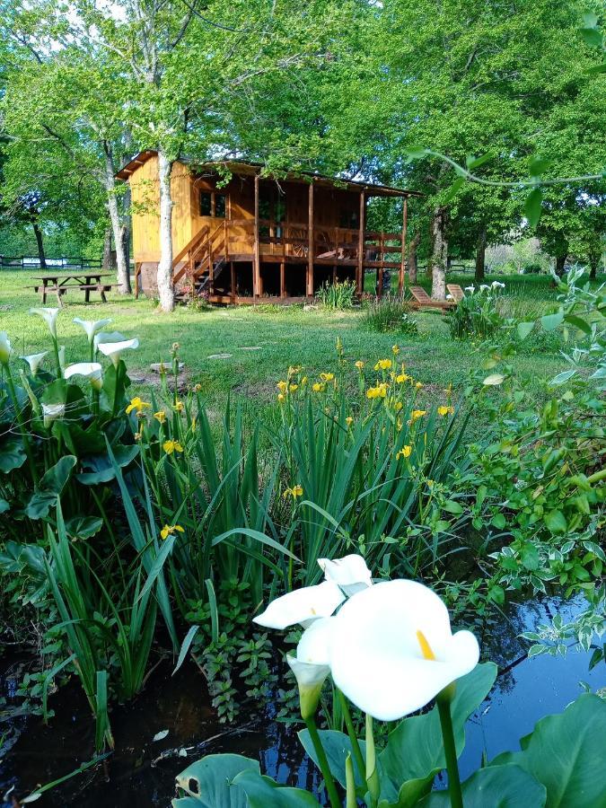 Bed and Breakfast Le Ranch Amadeus Saint-Paul-en-Born Esterno foto