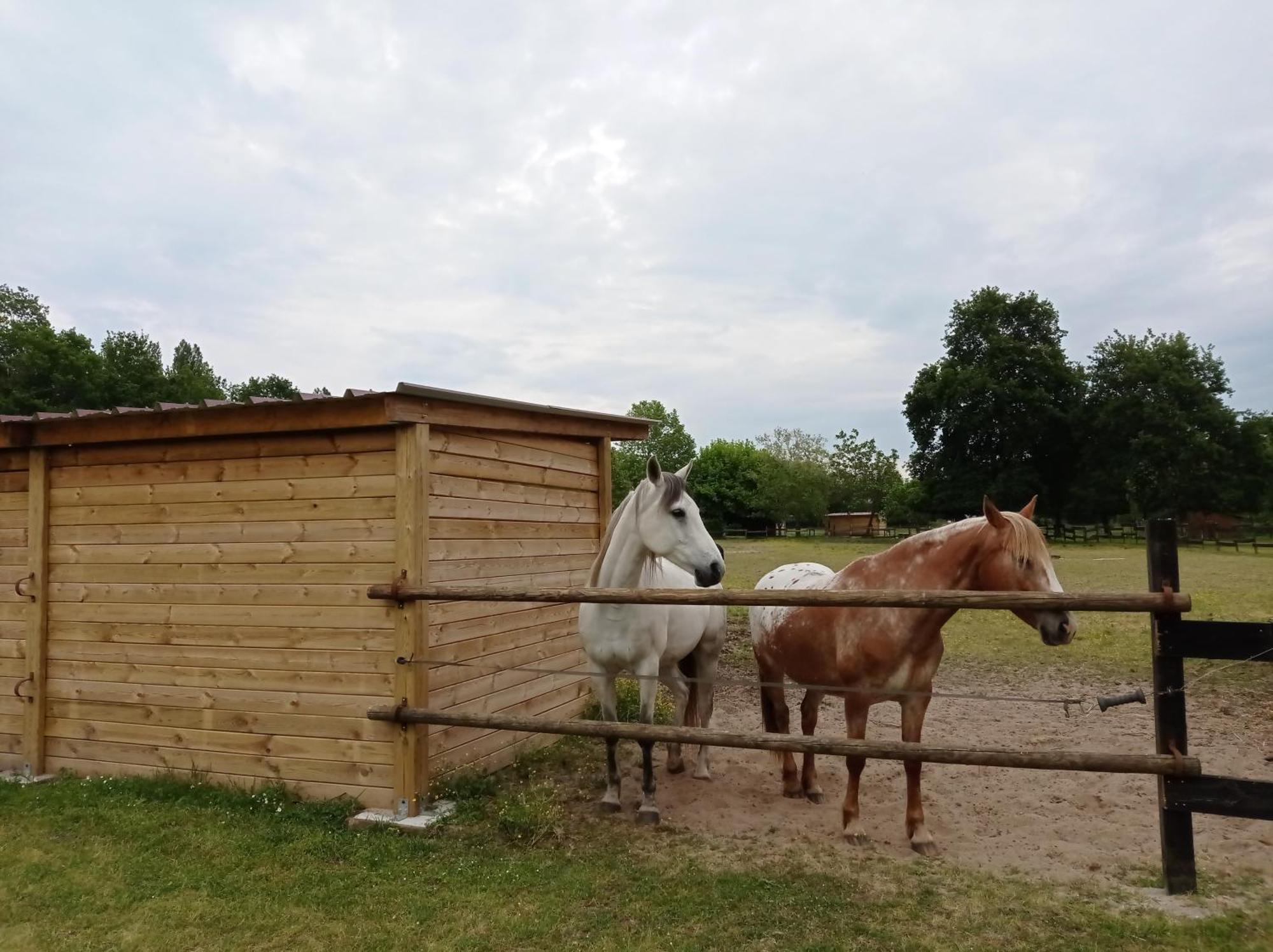 Bed and Breakfast Le Ranch Amadeus Saint-Paul-en-Born Esterno foto