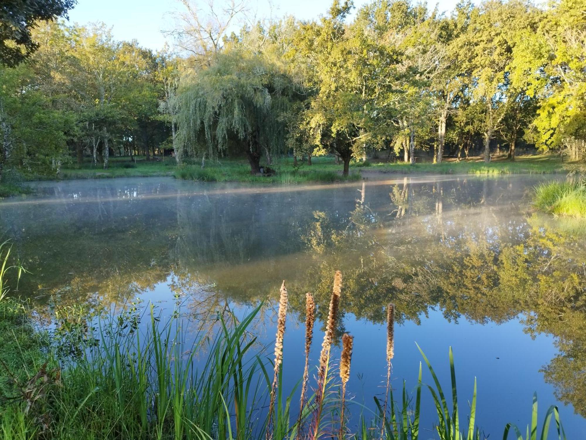 Bed and Breakfast Le Ranch Amadeus Saint-Paul-en-Born Esterno foto