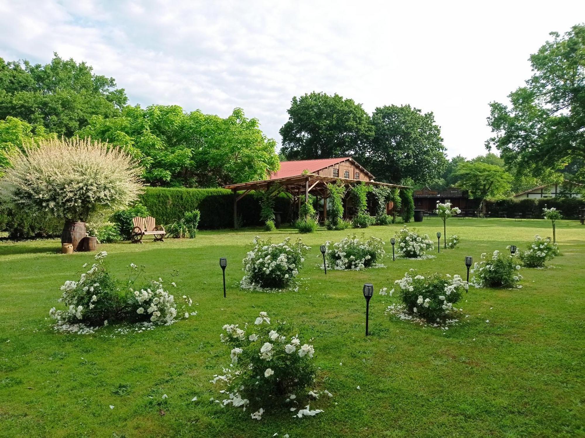 Bed and Breakfast Le Ranch Amadeus Saint-Paul-en-Born Esterno foto