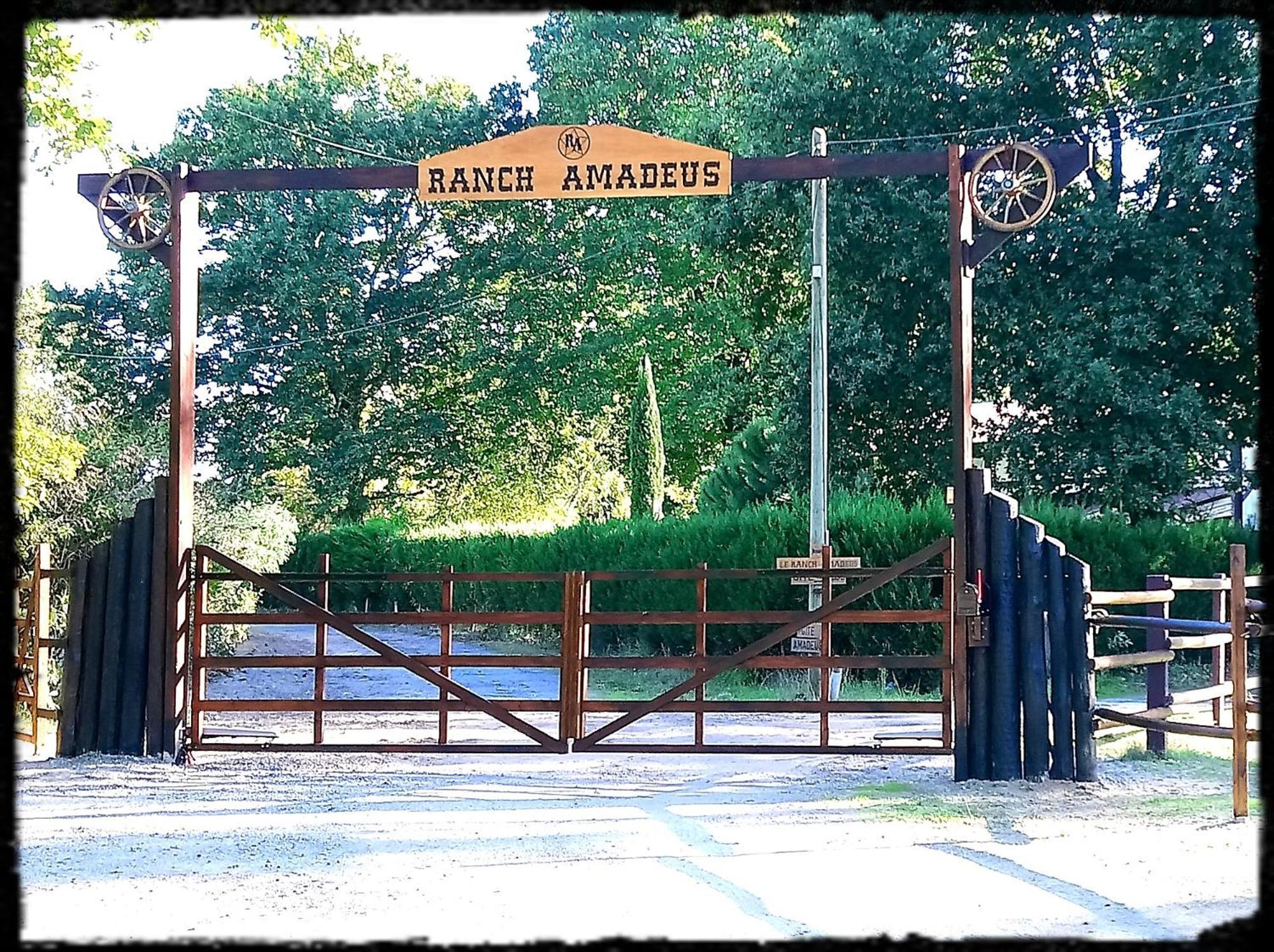 Bed and Breakfast Le Ranch Amadeus Saint-Paul-en-Born Esterno foto
